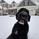 Jeff Shipley - @js31071 - Instagram