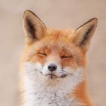 Jeff Sikes - @jeffsikes - Instagram