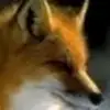 Jeff Sikes - @jeff.sikes1 - TikTok