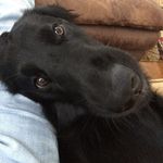 Jeff Sikes - @sikes_jeff - Instagram
