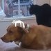 Jeff Simkins - Facebook