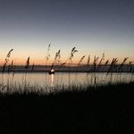 Dr Jeff Singleton, DMD - @dr_singleton_ - Instagram