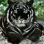 Jeff Singleton - @jeff.singleton2 - Instagram