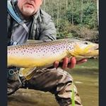 Jeff Singleton - @jeff.singleton.353 - Instagram