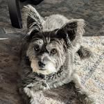 Jeff Singleton - @jeffsingleton59 - Instagram