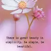 Jeff Singleton - @jeff.singleton58 - TikTok