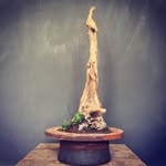 Jeff Slaven - @theportablelandscaper - Instagram