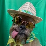 Jeff Slocum - @arbase2 - Instagram