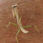 Jeff Smallwood - @smallwoodjs3463 - Instagram