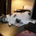 Jeff Smeltzer - Facebook