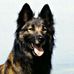 Jeff Sonnenberg - Facebook