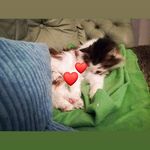 Jeff Soper - @soper_jeff - Instagram