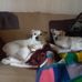 Jeff Specht - Facebook