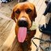 Jeff staggs - Facebook