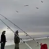 Jeff Stamper - @jeff.stamper2 - TikTok