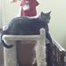 Jeffrey Starks - Facebook