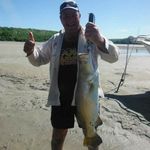 Jeff Starr - @jeffstarr64 - Instagram