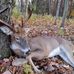 Jeff Steckl Steckley - Facebook