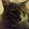 Jeff Steed - @jeffsteed1964 - TikTok