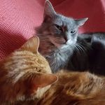 Jeff Steed - @jeffsteed64 - Instagram