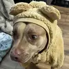 jeffreysteidler - @jeffreysteidler - TikTok