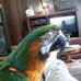 Jeff Steinhauer - Facebook