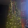 ILOVECHRISTMAS🎄 - @jeffsteinke5 - TikTok
