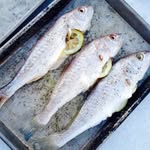 Jeff Stella - @cheffreystella - Instagram
