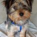 Jeff Stenberg - Facebook