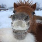 Jeffrey Stenberg - @stenbergjeffrey - Instagram