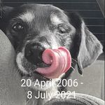 Jeff Sterling - @sterlingjeff - Instagram