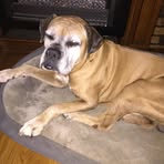 Jeff Stinson - Facebook