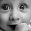 Lalit_Panwar - @jjeff_stipe - TikTok