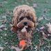 Jeff Stockman - Facebook