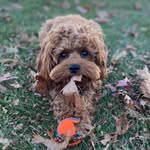 Jeff Stockman - @jms7242000 - Instagram