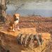 Jeff Stockman - Facebook
