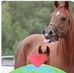 Jeffrey Stoll - Facebook