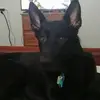 Jeffrey Stouffer - @jeffreystouffer2 - TikTok