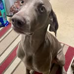 Jeff L Stowe - @jefflstowe - Instagram