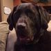 Jeff Stubblefield - Facebook