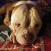 Jeff Stuckey - Facebook