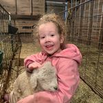 Jeff Stump - @stumpcattle - Instagram