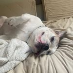Jeffrey Sturm - @jeffrey.sturm12 - Instagram
