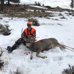 Jeff Sunderland - @jeff.sunderland - Instagram