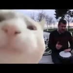 Jeff Supernaw - @jdsupernaw - Instagram
