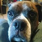 Jeff Swartwood - @swartwoodjeff - Instagram