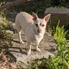 user6688274733582 - @jeffswartz86 - TikTok