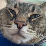 Marty Jeff Sweitzer - @juicymarty - Instagram