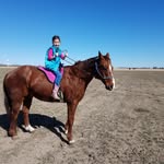 Jeff Swenson - @swennycattle - Instagram