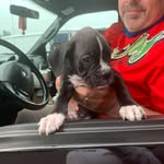 Jeff Swenson - @jeffswenson25 - Instagram